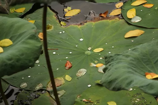 SG快乐十分全国影响力地图